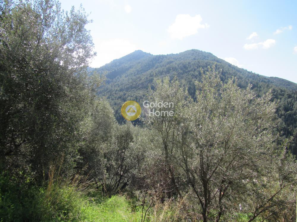 Οικόπεδο 568 τ.μ. προς πώληση, Αχαΐα, Πάτρα