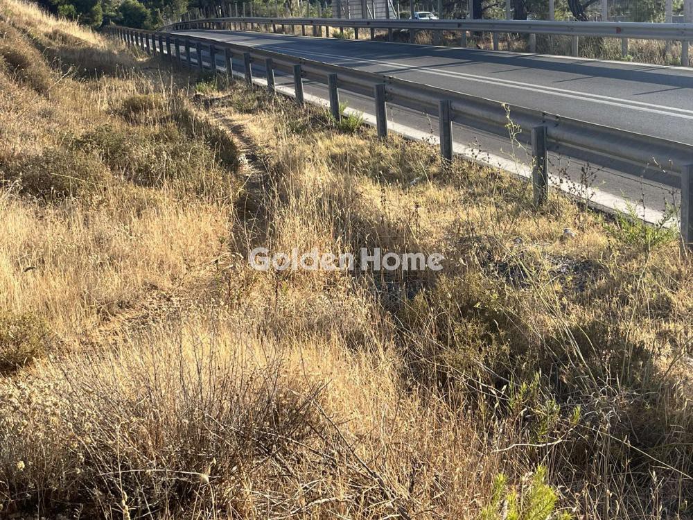 Οικόπεδο 6.000 τ.μ. προς ενοικίαση, Αττική - Υπόλοιπο, Ωρωπός