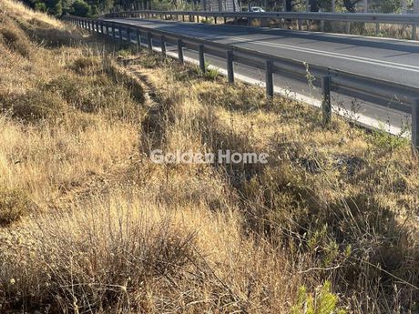 Land plot 6.000 sqm for rent
