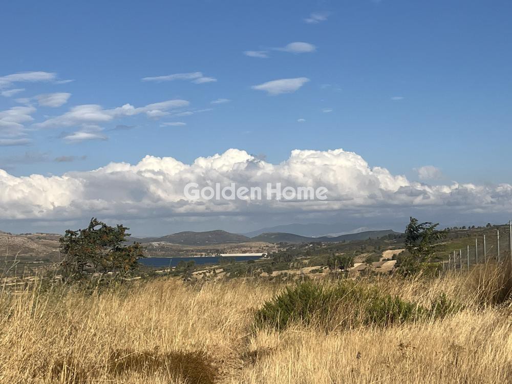 Οικόπεδο 6.000 τ.μ. προς ενοικίαση, Αττική - Υπόλοιπο, Ωρωπός
