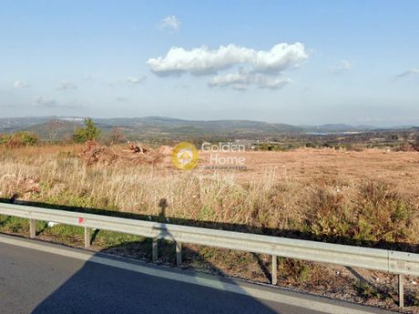 Land plot 5.000sqm for rent-Oropos » Pefkofito