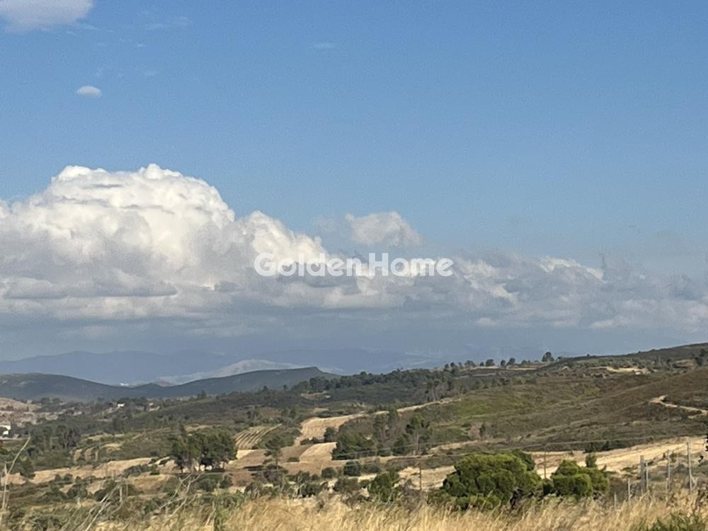 Οικόπεδο 6.000 τ.μ. προς ενοικίαση, Αττική - Υπόλοιπο, Ωρωπός