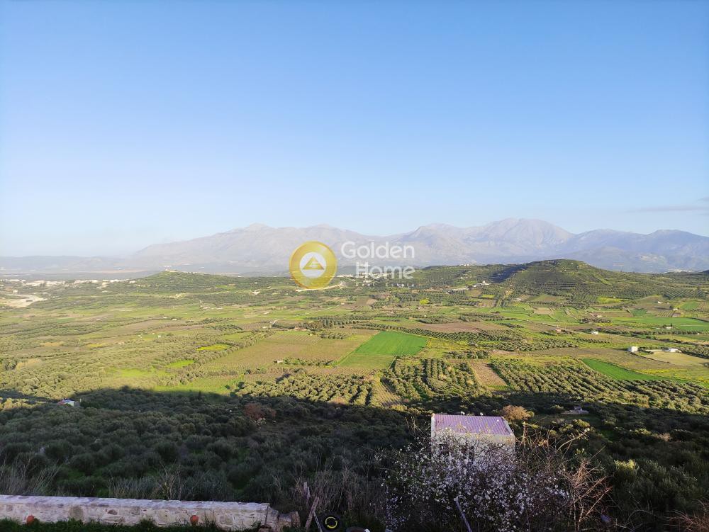Οικόπεδο 5.000 τ.μ. προς πώληση, Ζίντα