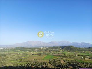 Οικόπεδο 5.000 τ.μ. για πώληση