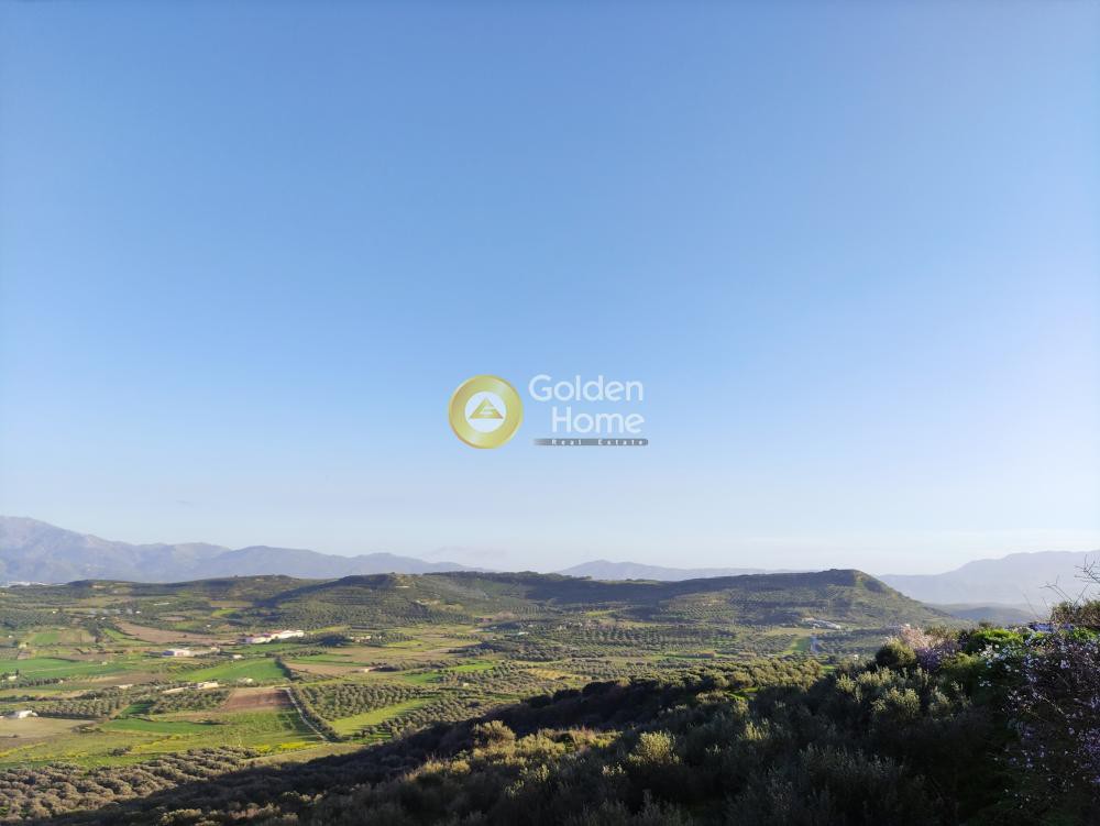 Οικόπεδο 5.000 τ.μ. προς πώληση, Ζίντα