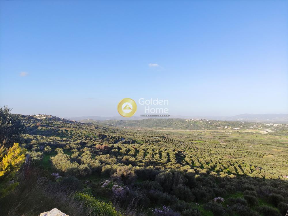 Οικόπεδο 5.000 τ.μ. προς πώληση, Ζίντα