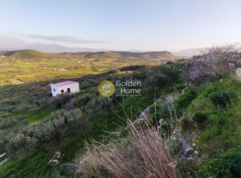 Οικόπεδο 5.000 τ.μ. προς πώληση, Ζίντα