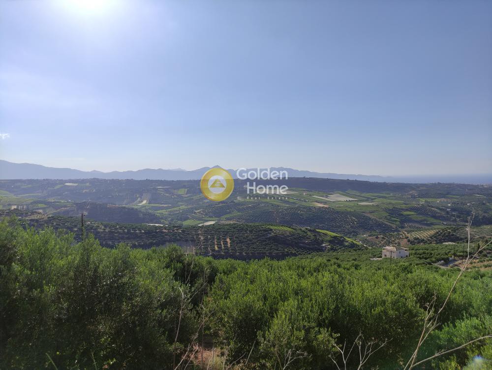 Οικόπεδο 4.972 τ.μ. προς πώληση, Κερά Ελαιούσα