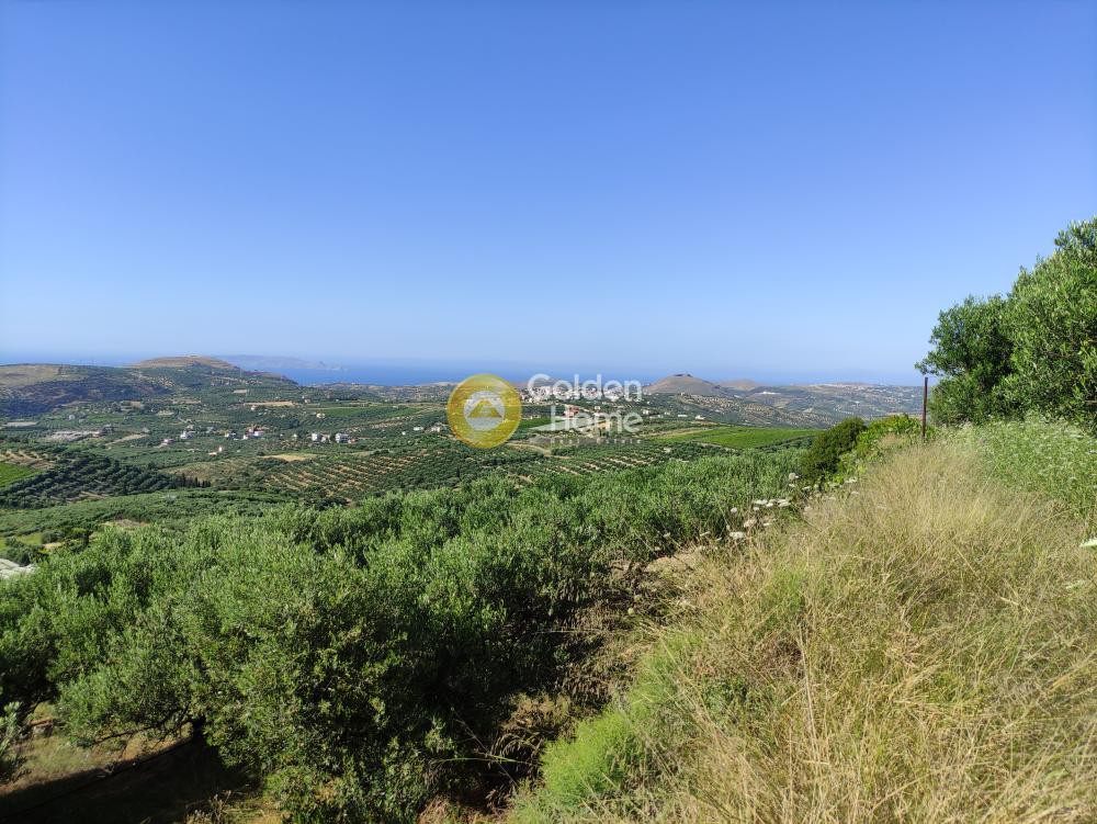 Οικόπεδο 4.972 τ.μ. προς πώληση, Κερά Ελαιούσα