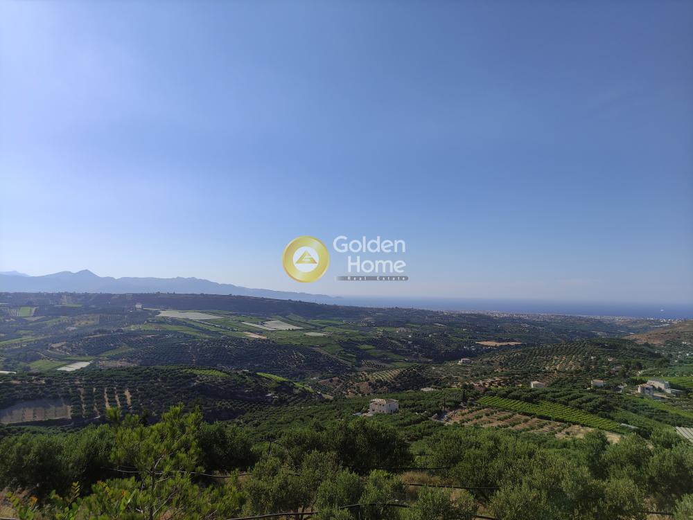 Οικόπεδο 4.972 τ.μ. προς πώληση, Κερά Ελαιούσα
