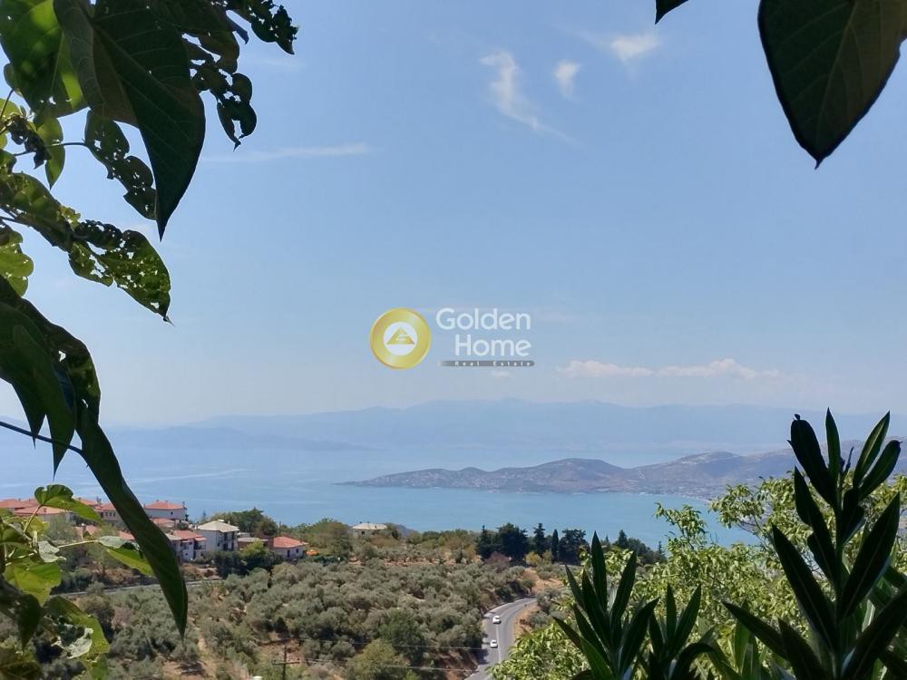 Κτίριο 300 τ.μ. πρός πώληση, Μαγνησία, Πορταριά