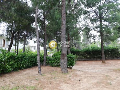 Land plot 505sqm for sale-Gerakas » Desi