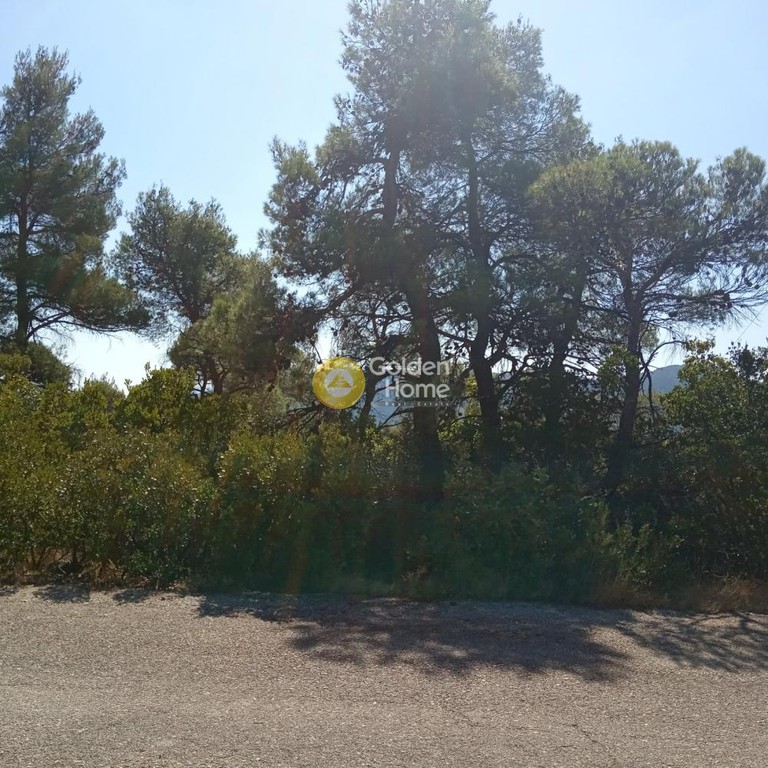 Οικόπεδο 2.100 τ.μ. προς πώληση, Αγία Τριάδα Αφιδνών