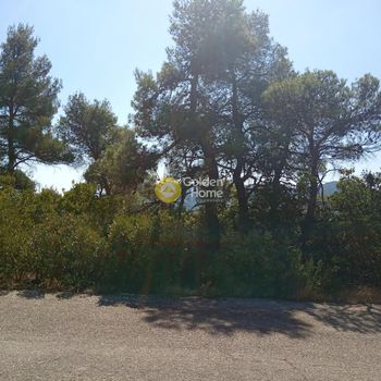 Land plot 2.100sqm for sale-Afidnes » Agia Triada