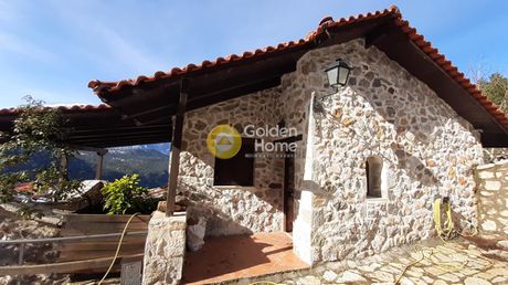 Maisonette 220sqm for sale-Parnassos » Ano Polidrosos
