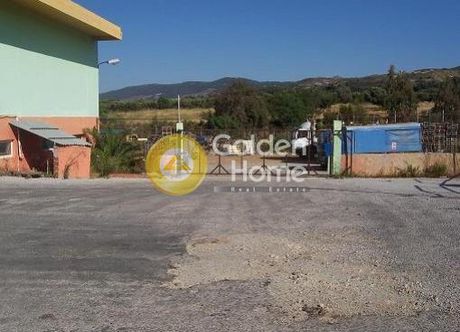 Κτίριο 600 τ.μ. για πώληση