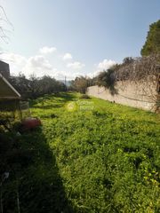 Κατάστημα 100 τ.μ. προς ενοικίαση, Ανισσαράς-thumb-21
