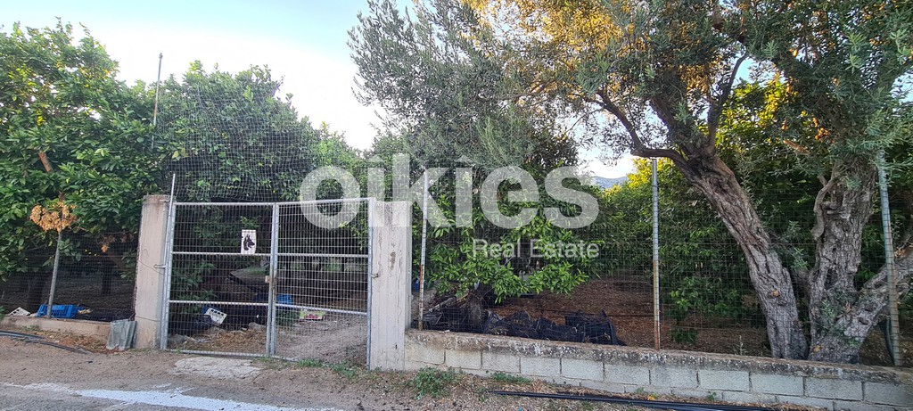 Αγροτεμάχια 2.920 τ.μ. πρός πώληση, Ν. Χίου, Χίος