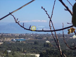 Μονοκατοικία 45 τ.μ. για πώληση