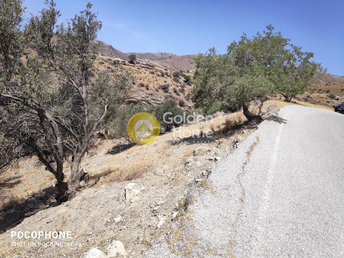 Αγροτεμάχια 2.100 τ.μ. προς πώληση, Δυτικός Γόρτυνας