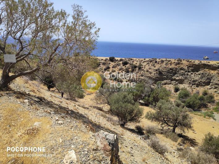 Αγροτεμάχια 2.100 τ.μ. προς πώληση, Δυτικός Γόρτυνας