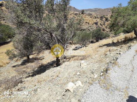 Αγροτεμάχια 2.100 τ.μ. για πώληση
