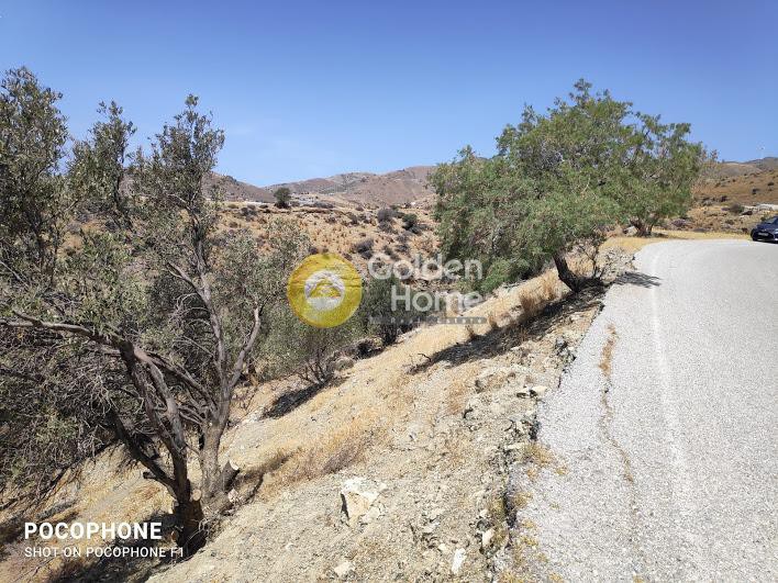 Αγροτεμάχια 2.100 τ.μ. προς πώληση, Δυτικός Γόρτυνας