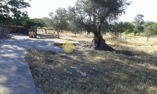 Οικόπεδο 5.900 τ.μ. για πώληση