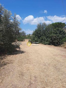 Land plot 1.280sqm for sale-Kalivia Thorikou » Lagonisi