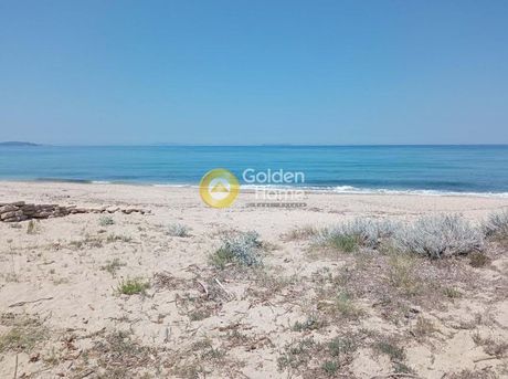 Οικόπεδο 61.593τ.μ. για πώληση-Κέρκυρα » Θινάλιο