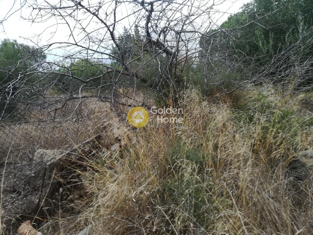 Οικόπεδο 550 τ.μ. προς πώληση, Κέντρο Παλαιάς Φώκαιας