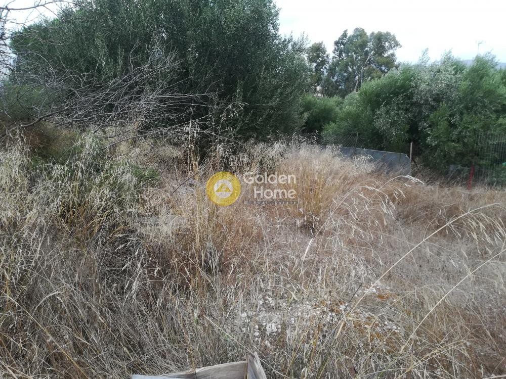 Οικόπεδο 550 τ.μ. προς πώληση, Κέντρο Παλαιάς Φώκαιας