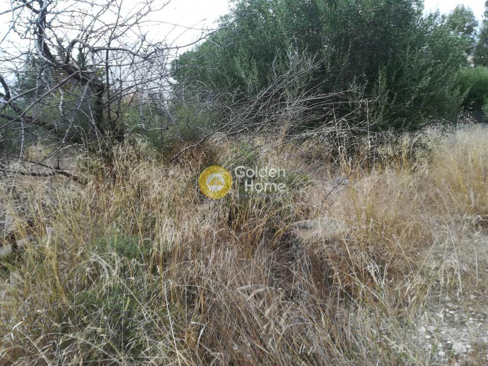 Οικόπεδο 550 τ.μ. προς πώληση, Κέντρο Παλαιάς Φώκαιας