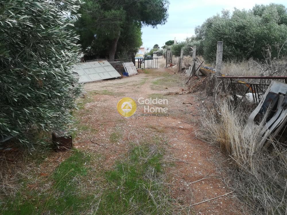 Οικόπεδο 550 τ.μ. προς πώληση, Κέντρο Παλαιάς Φώκαιας