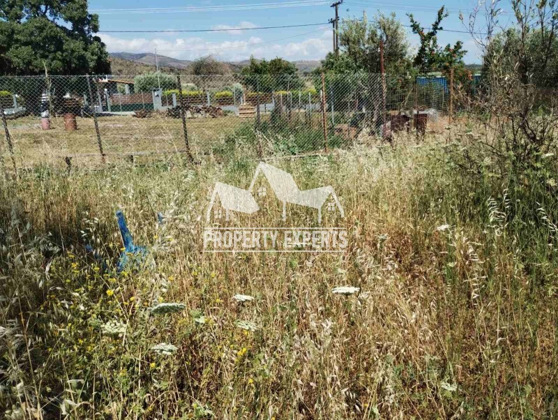 Αγροτεμάχια 360 τ.μ. προς πώληση, Μεσημβρία