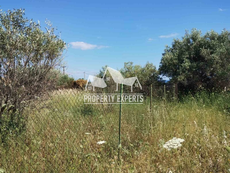 Αγροτεμάχια 360 τ.μ. προς πώληση, Μεσημβρία