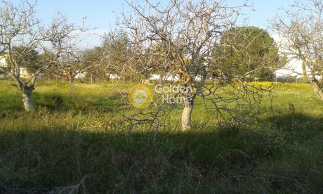 Αγροτεμάχια 1.880τ.μ. για πώληση-Μαρκόπουλο » Αγία τριάδα