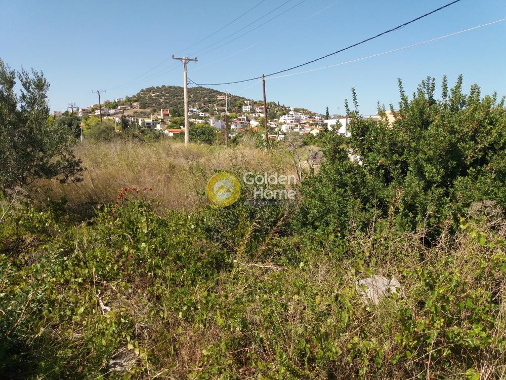 Οικόπεδο 860 τ.μ. προς πώληση, Κουλιδάς