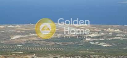 Land plot 25.000sqm for sale-Siteia » Panagia Faneromeni