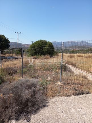 Land plot 6.000 sqm for sale, Athens - East, Koropi