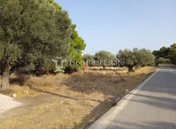 Land plot 2.500 sqm for sale, Rest Of Attica, Keratea