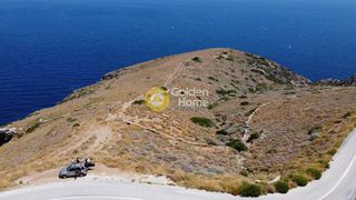 Αγροτεμάχια 10.113 τ.μ. για πώληση