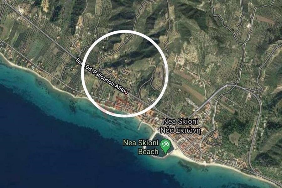 Αγροτεμάχια 16.047 τ.μ. προς πώληση, Νέα Σκιώνη