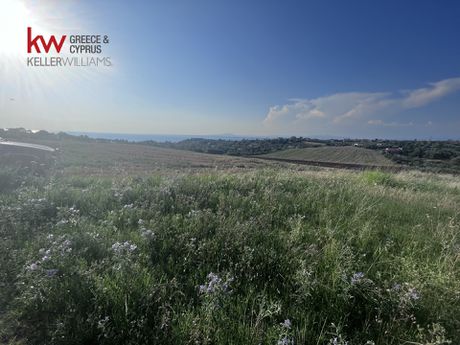 Αγροτεμάχια 5.250 τ.μ. για πώληση