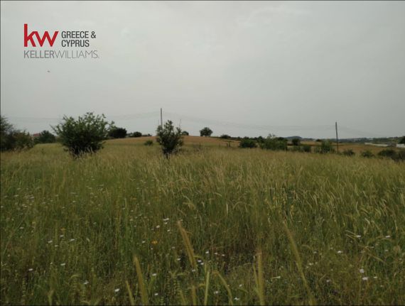 Αγροτεμάχια 600 τ.μ. για πώληση, Θεσσαλονίκη - Περιφ/Κοί Δήμοι, Θέρμη