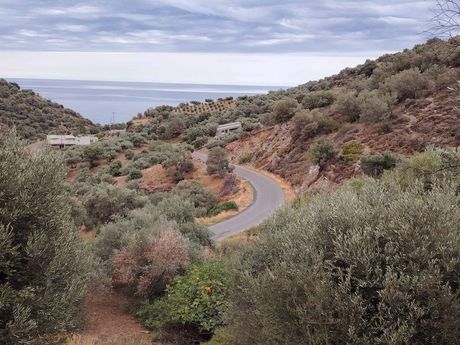 Οικόπεδο 1.360 τ.μ. πρός πώληση