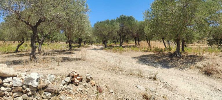 Οικόπεδο 3.148 τ.μ. για πώληση, Ν. Ρεθύμνου, Λάππα