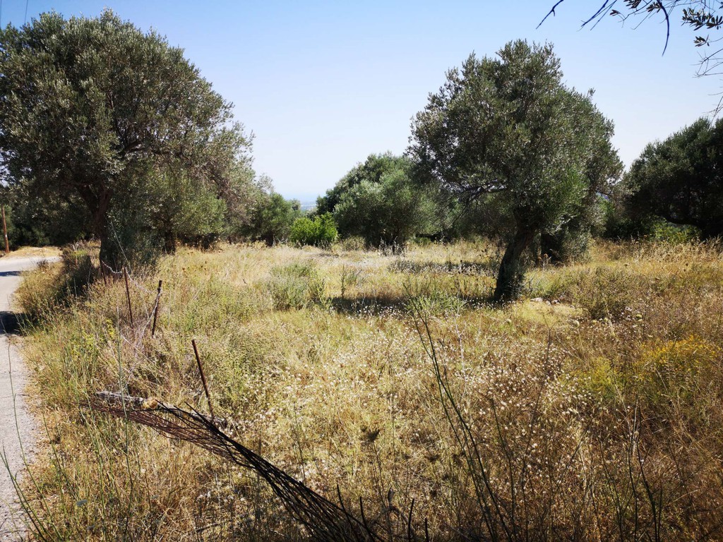 Οικόπεδο 4.063 τ.μ. πρός πώληση, Ν. Ρεθύμνου, Αρκάδι