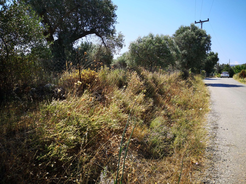 Οικόπεδο 4.063 τ.μ. πρός πώληση, Ν. Ρεθύμνου, Αρκάδι