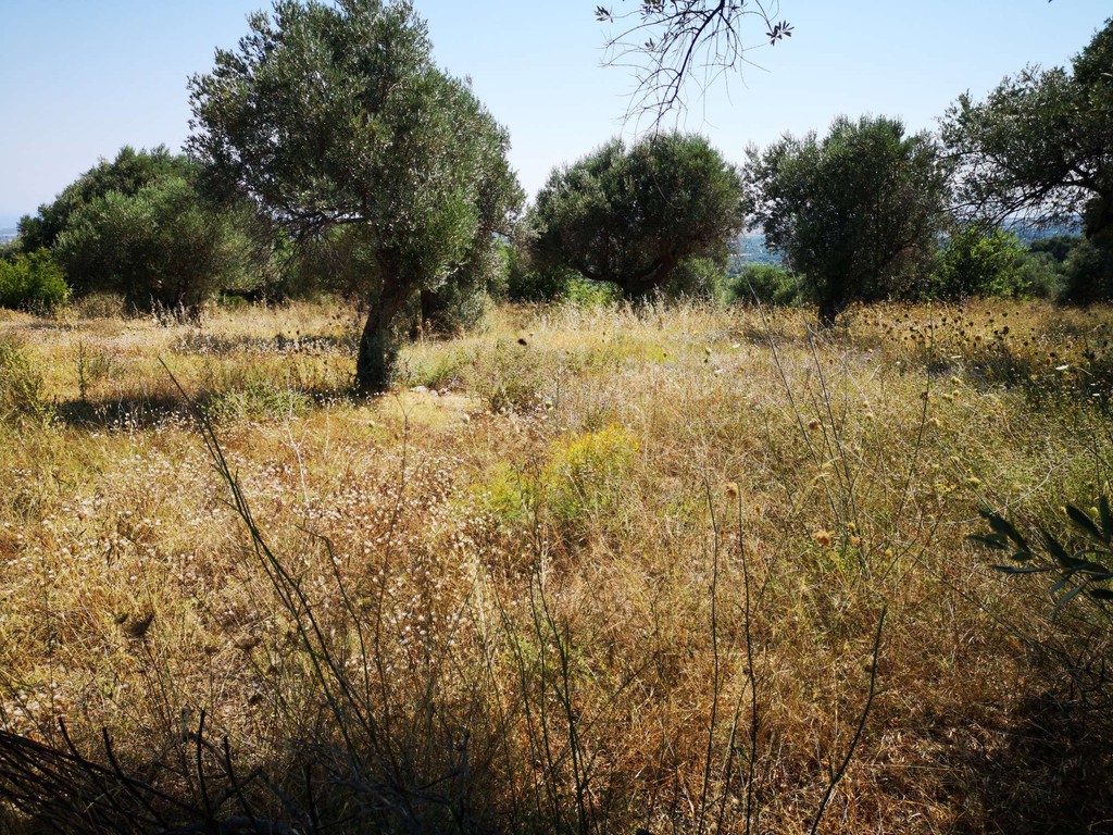 Οικόπεδο 4.063 τ.μ. πρός πώληση, Ν. Ρεθύμνου, Αρκάδι